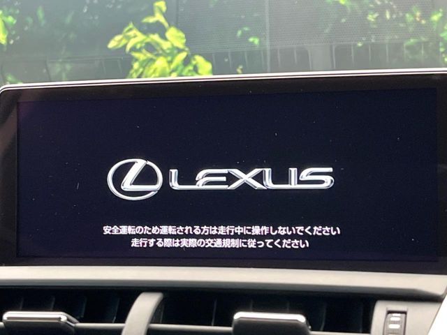 TOYOTA LEXUS NX300 2019 Image 31