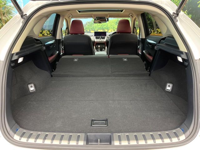 TOYOTA LEXUS NX300 2019 Image 31