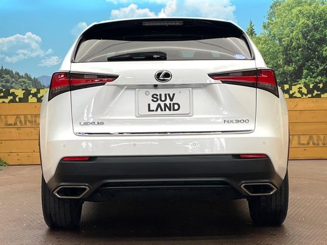 TOYOTA LEXUS NX300 2019 Image 31