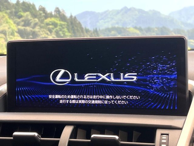 TOYOTA LEXUS NX300H 2020 Image 31