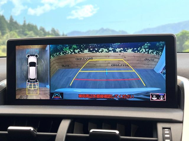 TOYOTA LEXUS NX300H 2020 Image 31