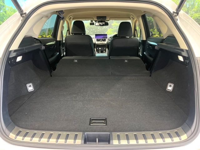 TOYOTA LEXUS NX300H 2020 Image 31