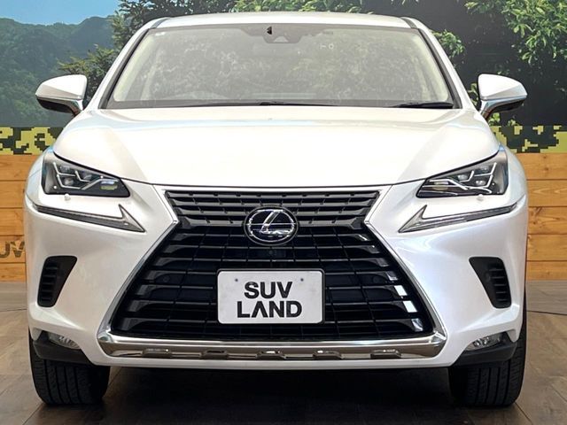 TOYOTA LEXUS NX300H 2020 Image 31