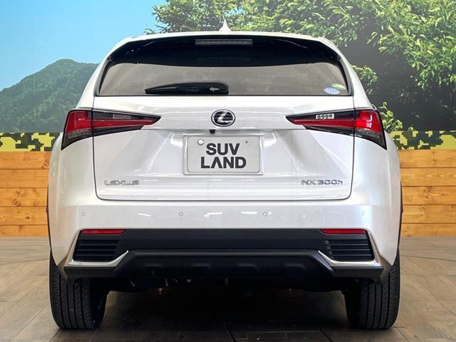 TOYOTA LEXUS NX300H 2020 Image 31