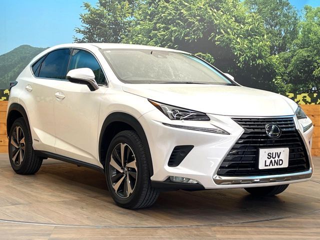 TOYOTA LEXUS NX300H 2020 Image 31