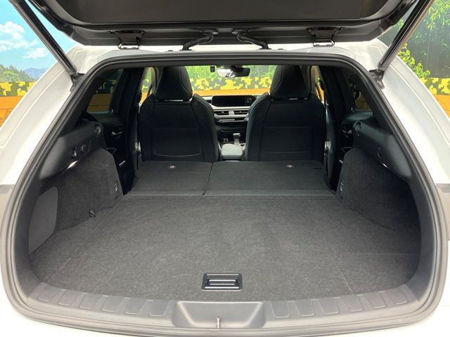 TOYOTA LEXUS UX250H 2020 Image 31