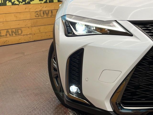 TOYOTA LEXUS UX250H 2020 Image 31