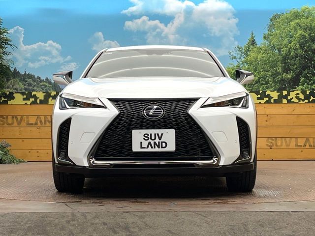 TOYOTA LEXUS UX250H 2020 Image 31