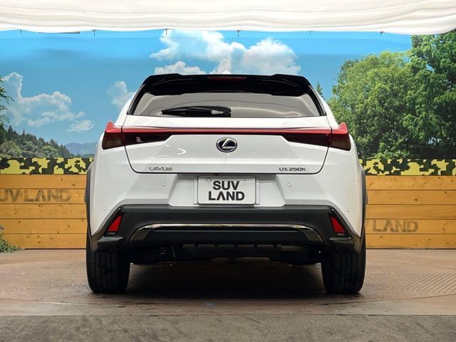 TOYOTA LEXUS UX250H 2020 Image 31