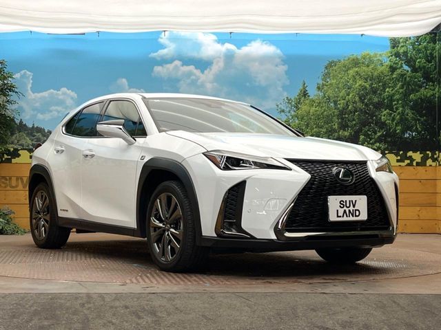 TOYOTA LEXUS UX250H 2020 Image 31