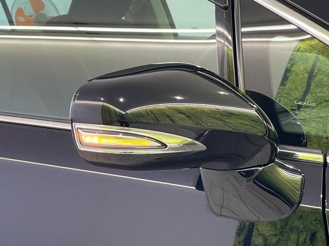 TOYOTA LEXUS HS250H 2011 Image 31