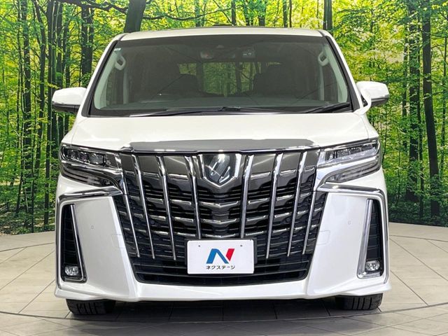 TOYOTA ALPHARD 2019 Image 31