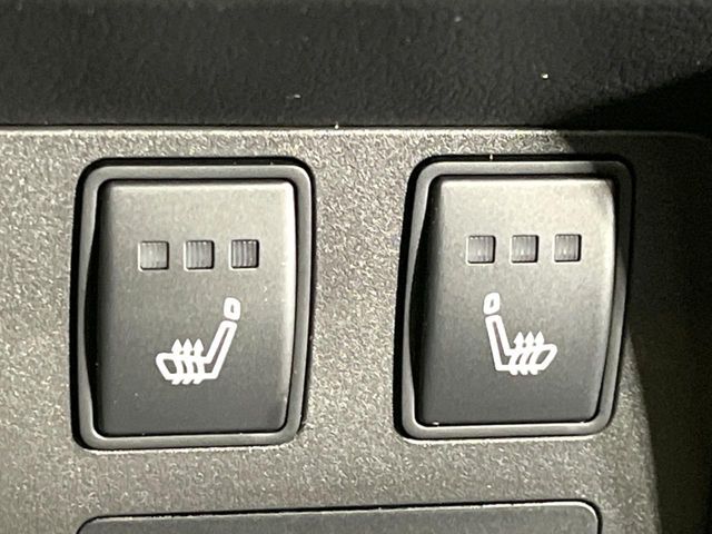 NISSAN X-TRAIL HYBRID 4WD 2023 Image 31