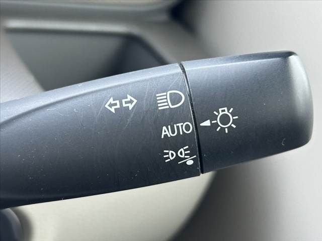 SUZUKI ALTO LAPIN 2021 Image 31