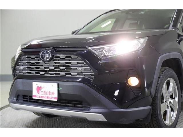 TOYOTA RAV4 4WD 2019 Image 31
