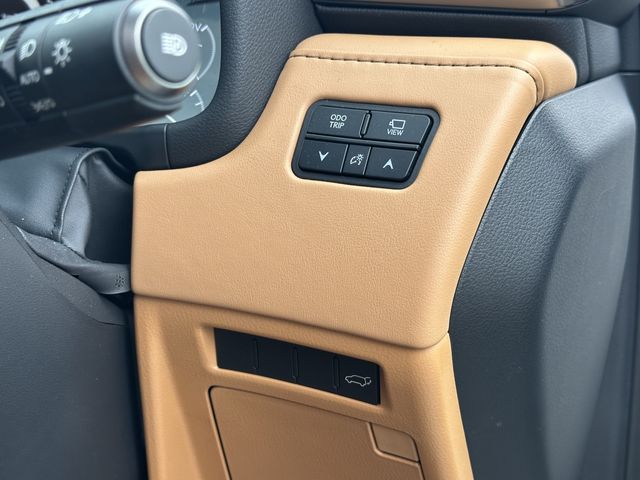 TOYOTA LEXUS LX600 2023 Image 31