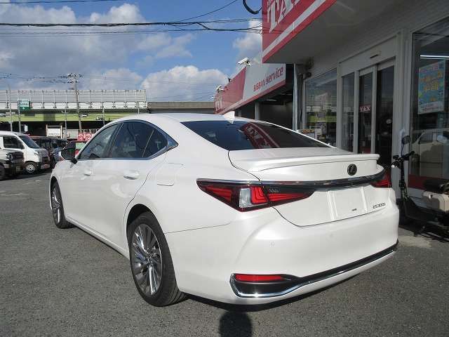 TOYOTA LEXUS ES300H 2024 Image 31