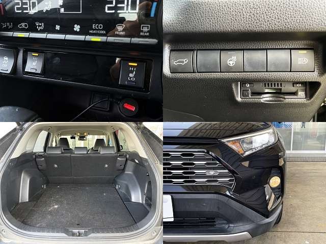 TOYOTA RAV4 4WD 2019 Image 31