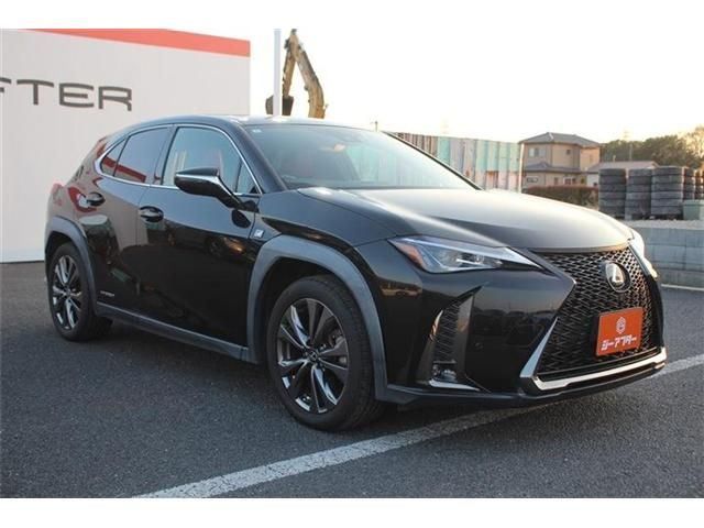 TOYOTA LEXUS UX250H 2019 Image 31
