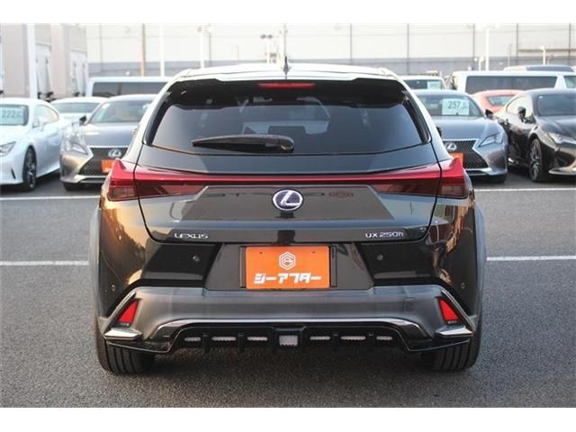 TOYOTA LEXUS UX250H 2019 Image 31
