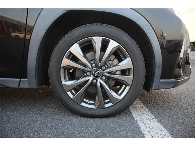 TOYOTA LEXUS UX250H 2019 Image 31