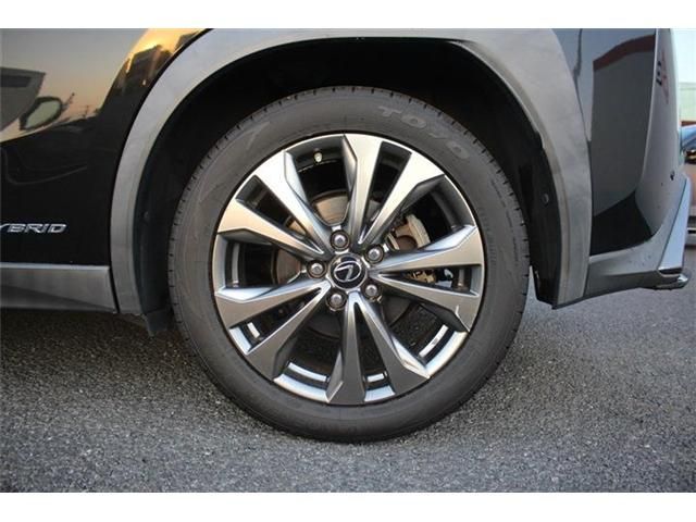 TOYOTA LEXUS UX250H 2019 Image 31