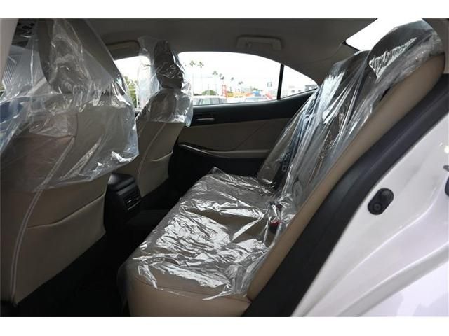 TOYOTA LEXUS IS300H 2019 Image 31