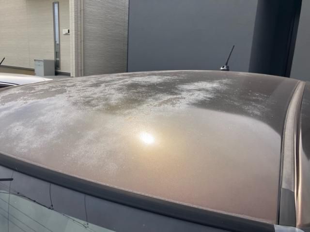 DAIHATSU CAST STYLE 2016 Image 31