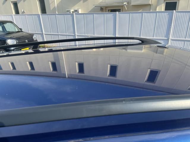 VOLKSWAGEN GOLF VARI 2009 Image 31