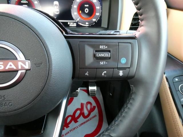 NISSAN X-TRAIL HYBRID 4WD 2023 Image 31