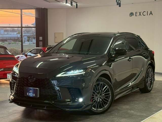 TOYOTA LEXUS RX500H 2024 Image 31