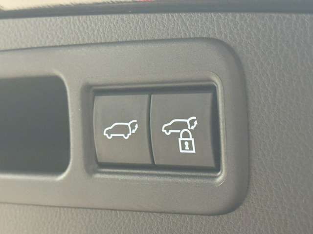 TOYOTA LEXUS RX500H 2024 Image 31