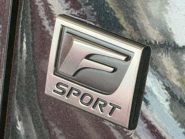 TOYOTA LEXUS RX500H 2024 Image 31