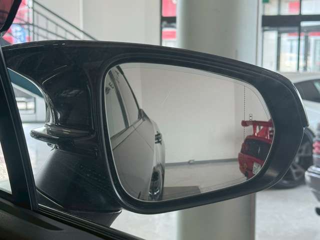 TOYOTA LEXUS RX500H 2024 Image 31