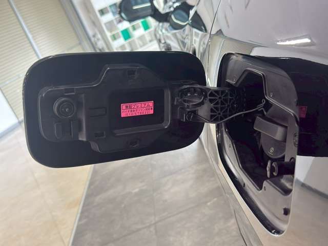 TOYOTA LEXUS RX500H 2024 Image 31