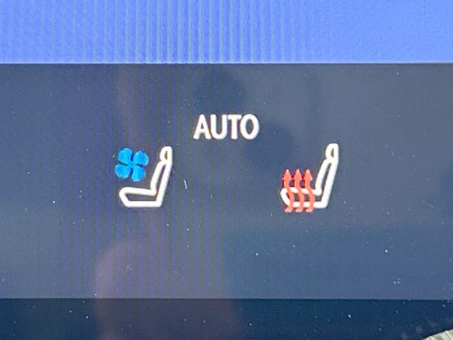 TOYOTA LEXUS NX350H AWD 2023 Image 31