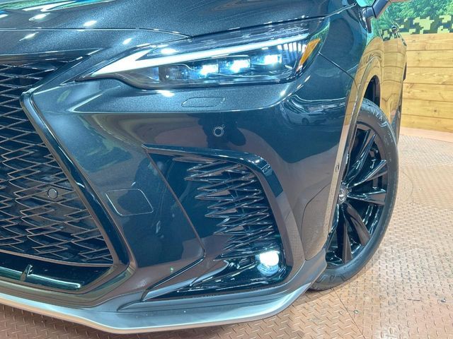 TOYOTA LEXUS NX350H AWD 2023 Image 31