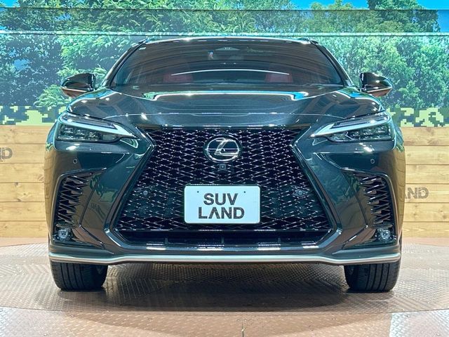 TOYOTA LEXUS NX350H AWD 2023 Image 31