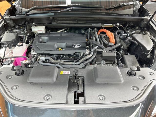 TOYOTA LEXUS NX350H AWD 2023 Image 31