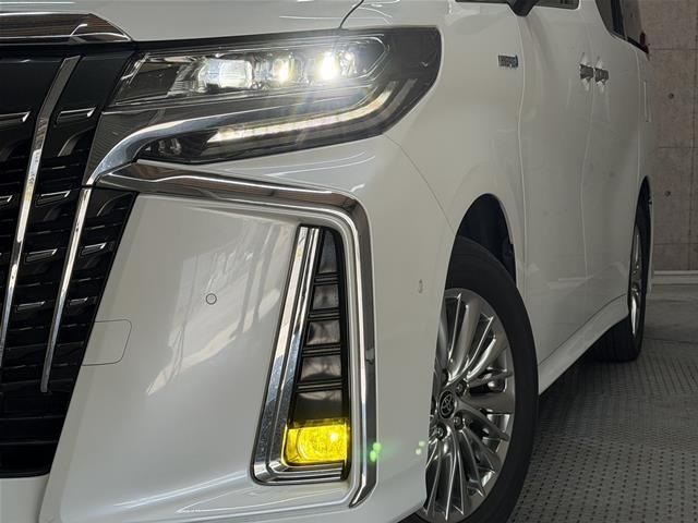TOYOTA ALPHARD HYBRID 4WD 2020 Image 31