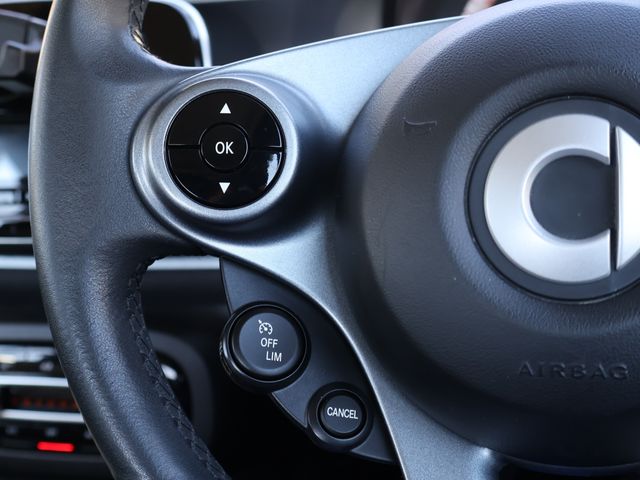 MCC SMART FORTWO OPEN 2017 Image 31