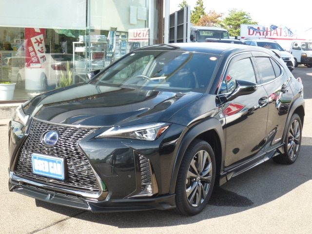 TOYOTA LEXUS UX250H AWD 2022 Image 31