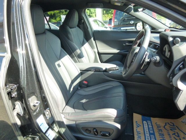 TOYOTA LEXUS UX250H AWD 2022 Image 31