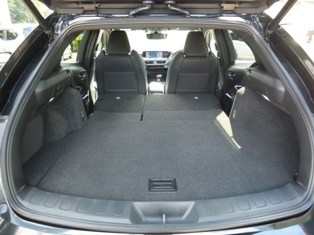 TOYOTA LEXUS UX250H AWD 2022 Image 31