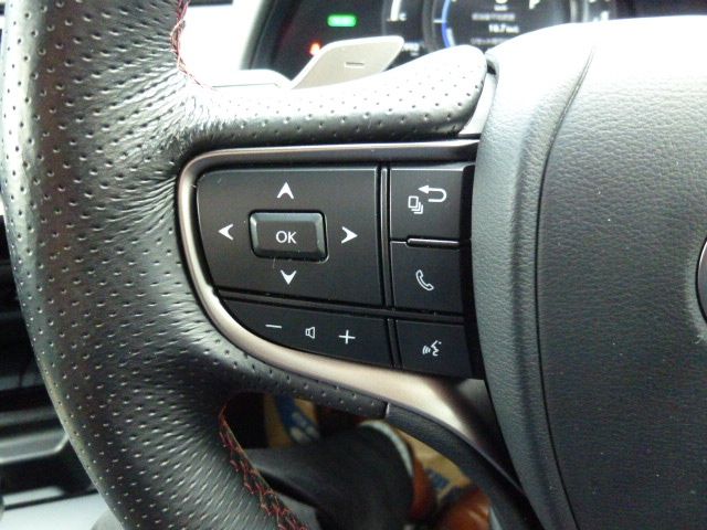 TOYOTA LEXUS UX250H AWD 2022 Image 31