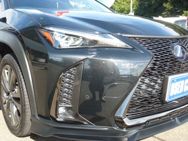 TOYOTA LEXUS UX250H AWD 2022 Image 31