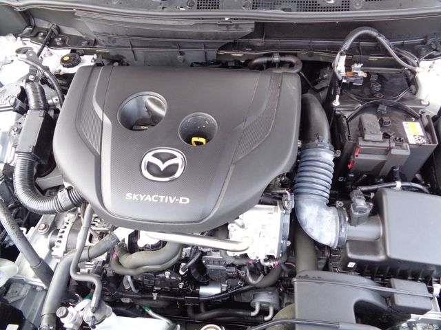 MAZDA CX-3 4WD 2024 Image 31