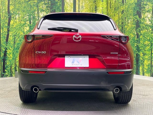 MAZDA CX-30 2020 Image 31