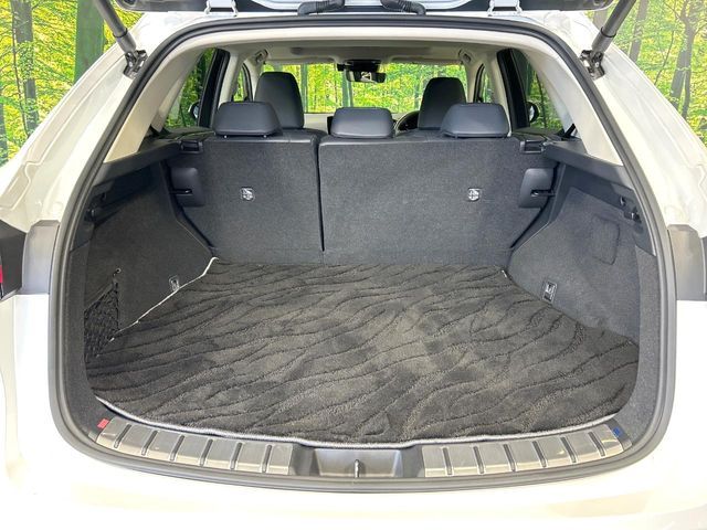 TOYOTA LEXUS NX350H 2023 Image 31