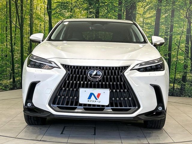 TOYOTA LEXUS NX350H 2023 Image 31